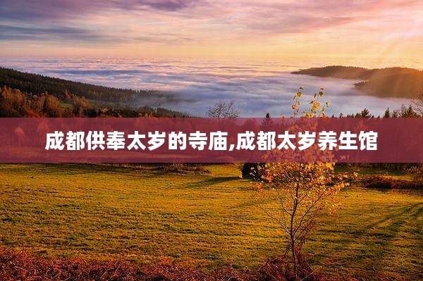 成都供奉太岁的寺庙,成都太岁养生馆