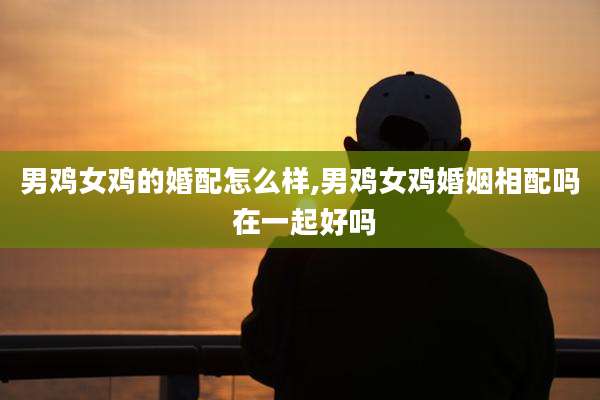 男鸡女鸡的婚配怎么样,男鸡女鸡婚姻相配吗 在一起好吗