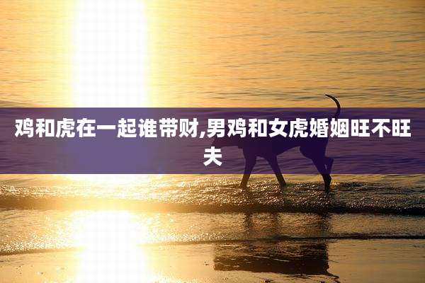 鸡和虎在一起谁带财,男鸡和女虎婚姻旺不旺夫