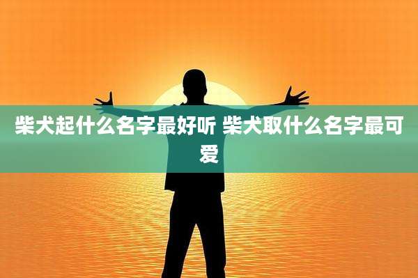 柴犬起什么名字最好听 柴犬取什么名字最可爱