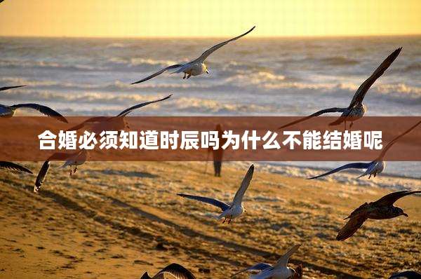合婚必须知道时辰吗为什么不能结婚呢