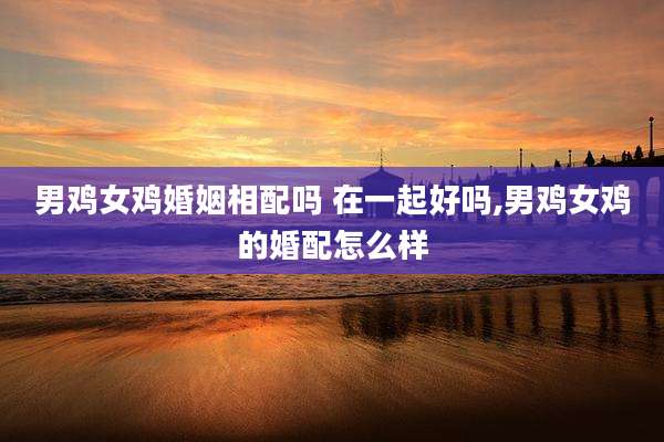 男鸡女鸡婚姻相配吗 在一起好吗,男鸡女鸡的婚配怎么样