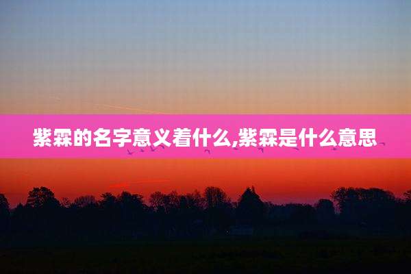 紫霖的名字意义着什么,紫霖是什么意思