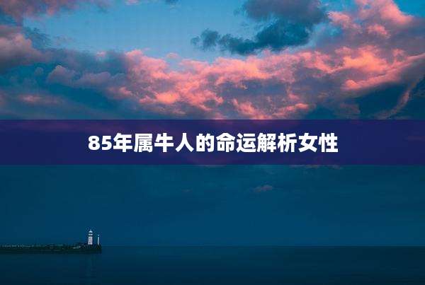 85年属牛人的命运解析女性