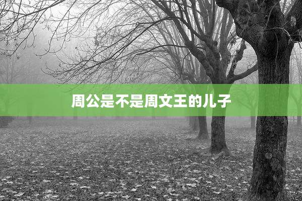 周公是不是周文王的儿子