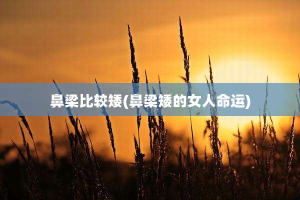 鼻梁比较矮(鼻梁矮的女人命运)
