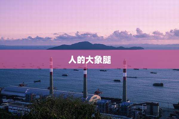 人的大象腿