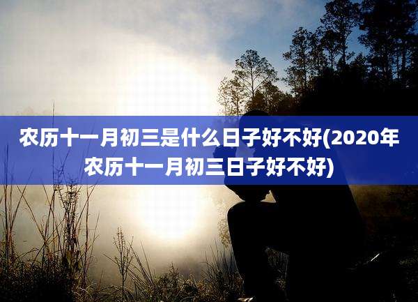 农历十一月初三是什么日子好不好(2020年农历十一月初三日子好不好)