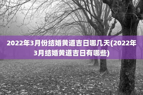 2022年3月份结婚黄道吉日哪几天(2022年3月结婚黄道吉日有哪些)
