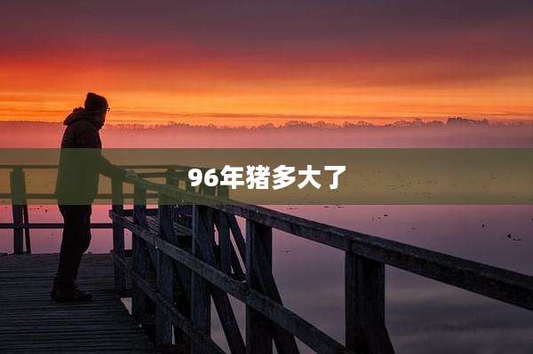 96年猪多大了