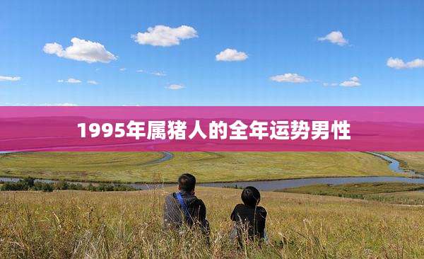 1995年属猪人的全年运势男性