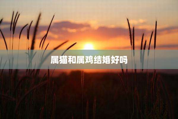 属猫和属鸡结婚好吗