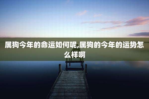 属狗今年的命运如何呢,属狗的今年的运势怎么样啊