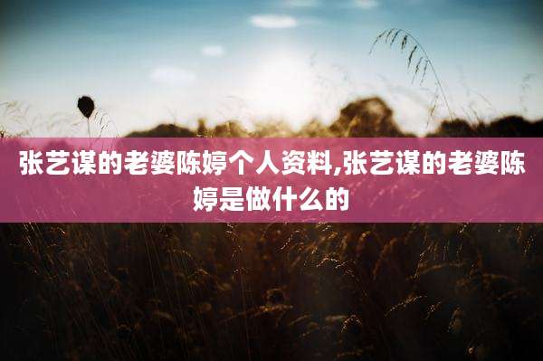 张艺谋的老婆陈婷个人资料,张艺谋的老婆陈婷是做什么的