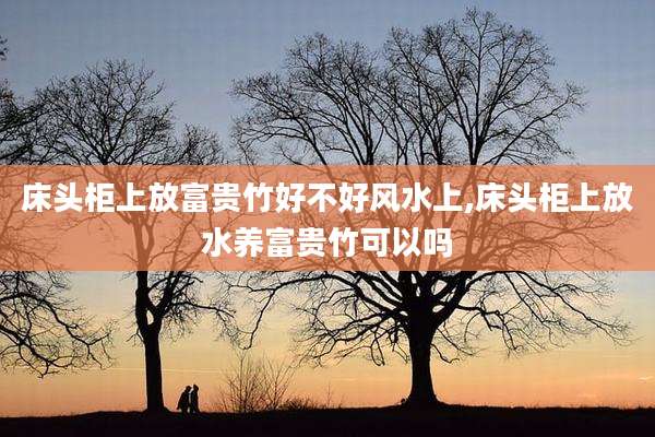 床头柜上放富贵竹好不好风水上,床头柜上放水养富贵竹可以吗