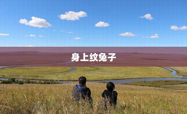身上纹兔子