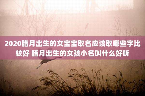 2020腊月出生的女宝宝取名应该取哪些字比较好 腊月出生的女孩小名叫什么好听