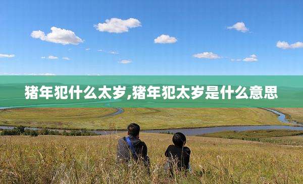 猪年犯什么太岁,猪年犯太岁是什么意思