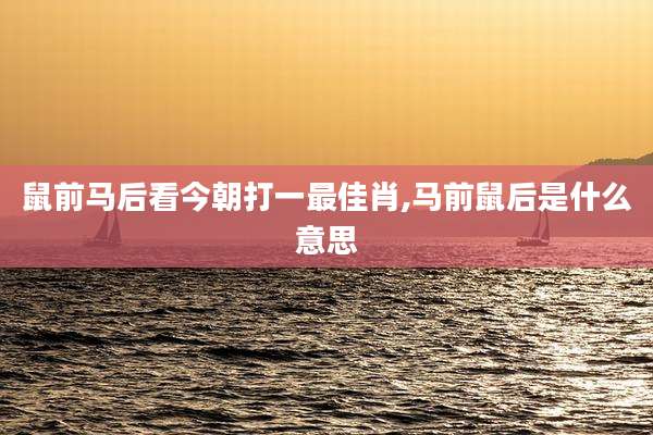 鼠前马后看今朝打一最佳肖,马前鼠后是什么意思