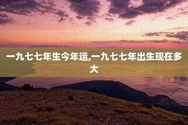 一九七七年生今年运,一九七七年出生现在多大