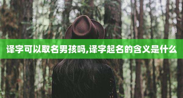 译字可以取名男孩吗,译字起名的含义是什么
