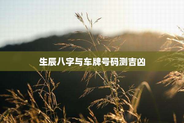 生辰八字与车牌号码测吉凶