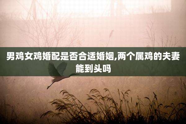 男鸡女鸡婚配是否合适婚姻,两个属鸡的夫妻能到头吗