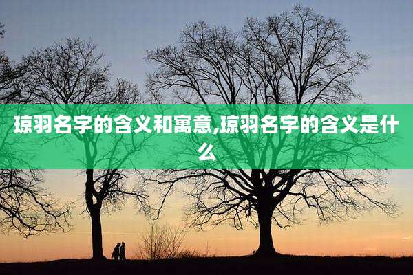 琼羽名字的含义和寓意,琼羽名字的含义是什么