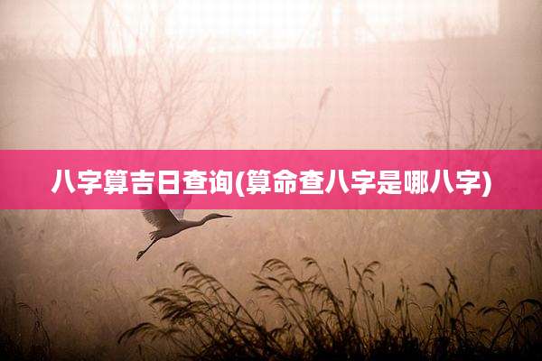八字算吉日查询(算命查八字是哪八字)