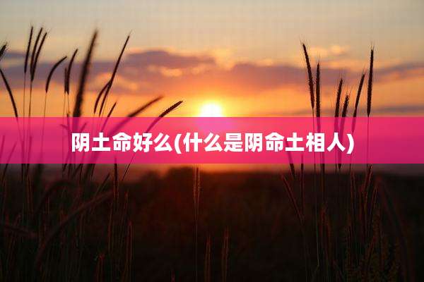 阴土命好么(什么是阴命土相人)