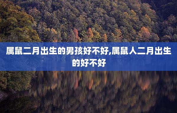属鼠二月出生的男孩好不好,属鼠人二月出生的好不好