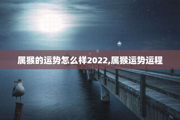 属猴的运势怎么样2022,属猴运势运程