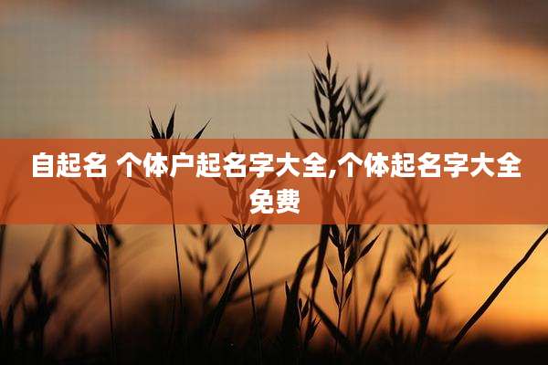 自起名 个体户起名字大全,个体起名字大全免费