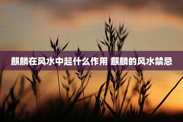 麒麟在风水中起什么作用 麒麟的风水禁忌