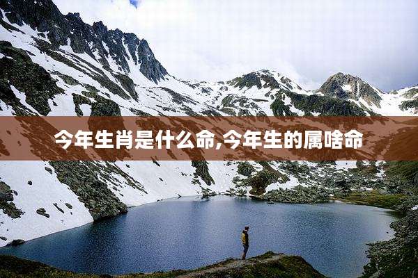 今年生肖是什么命,今年生的属啥命