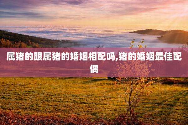 属猪的跟属猪的婚姻相配吗,猪的婚姻最佳配偶