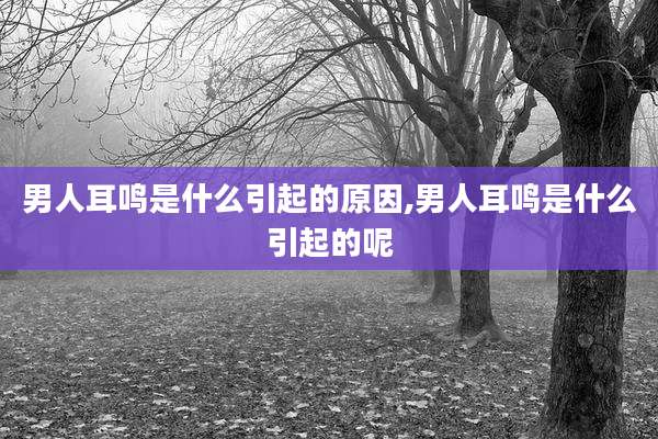 男人耳鸣是什么引起的原因,男人耳鸣是什么引起的呢