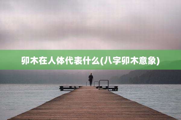 卯木在人体代表什么(八字卯木意象)