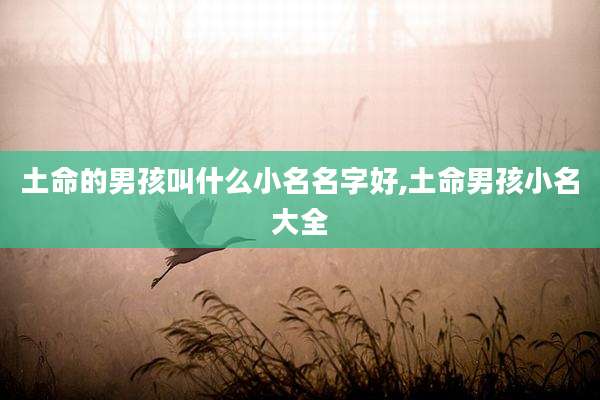土命的男孩叫什么小名名字好,土命男孩小名大全