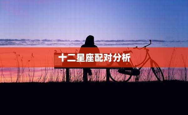 十二星座配对分析