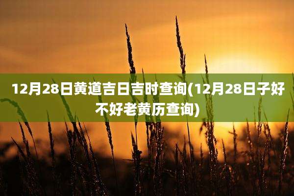12月28日黄道吉日吉时查询(12月28日子好不好老黄历查询)