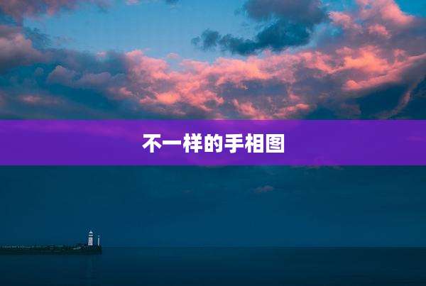 不一样的手相图