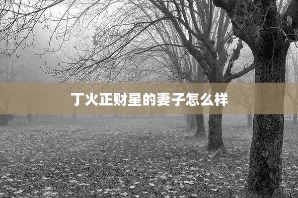 丁火正财星的妻子怎么样