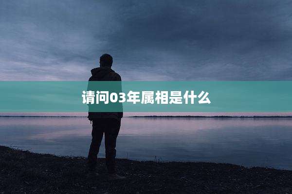 请问03年属相是什么
