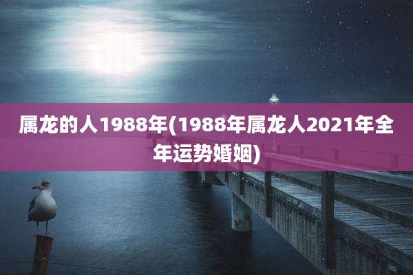 属龙的人1988年(1988年属龙人2021年全年运势婚姻)