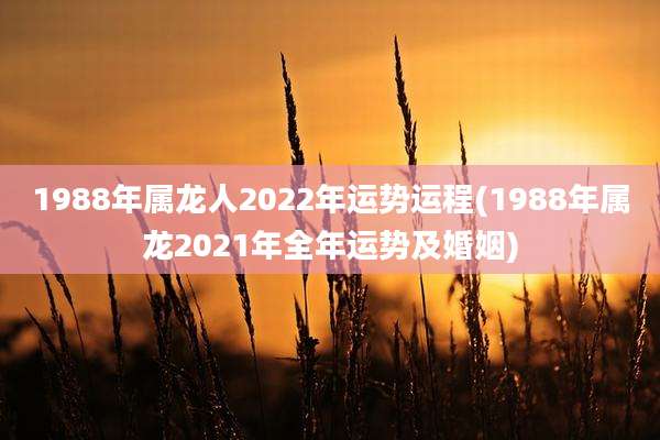 1988年属龙人2022年运势运程(1988年属龙2021年全年运势及婚姻)