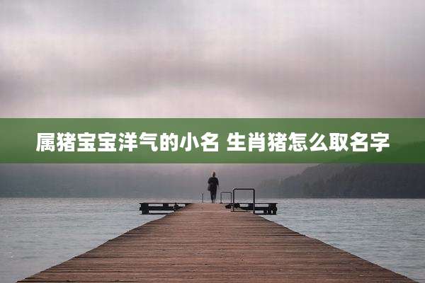 属猪宝宝洋气的小名 生肖猪怎么取名字