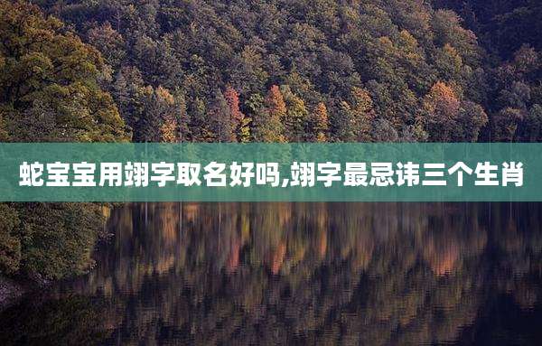 蛇宝宝用翊字取名好吗,翊字最忌讳三个生肖