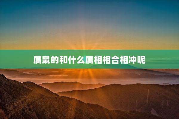 属鼠的和什么属相相合相冲呢