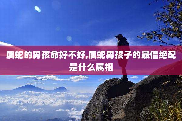 属蛇的男孩命好不好,属蛇男孩子的最佳绝配是什么属相